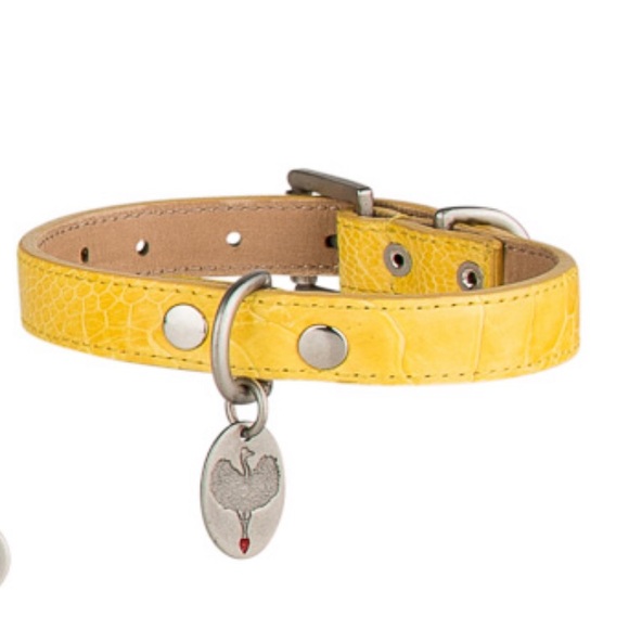 Handmade Ostrich Dog Collar - Picture 5 of 8